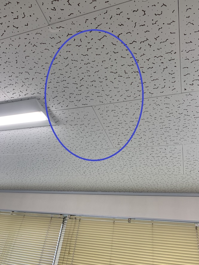 名古屋市港区にてオフィス天井に殺菌灯取付の電気設備工事